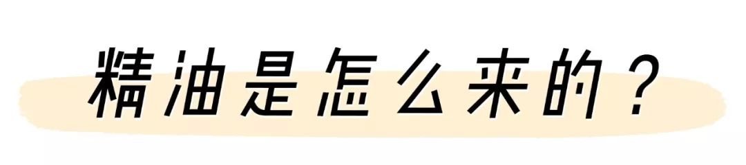 精油入门必备护肤品,平价单方精油推荐面部