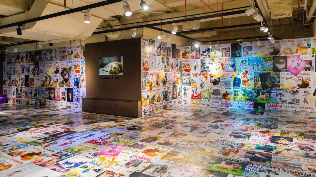 七八年没逛一个地方,江门地王广场动漫星城