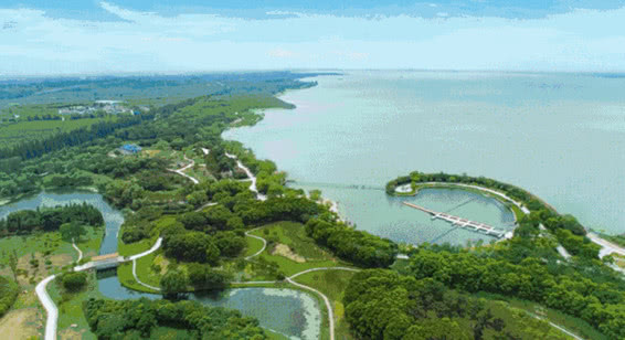 上海青浦长三角一体化示范区,上海市青浦区未来的规划