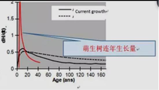 树种起源,次生林起源的特点