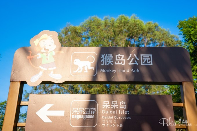 南湾岛猴王,海南南湾猴岛的猴王争夺战