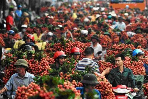 越南900万吨订单,越南拿到中国订单了吗