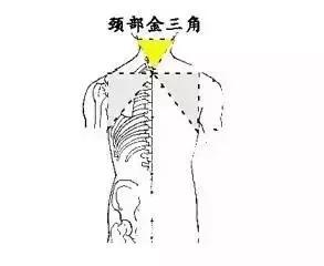 神奇的人体三角区，养好了，百病难扰