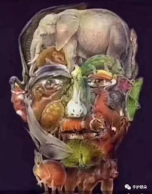 孩子为什么会发烧,孩子为什么发烧反反复复