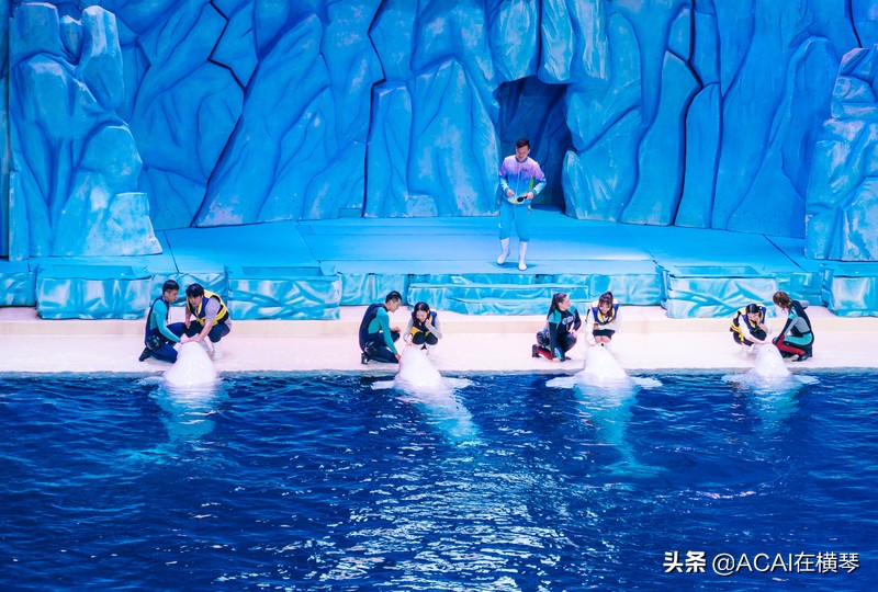 吃喝玩乐in珠海,珠海吃喝玩乐一体的地方