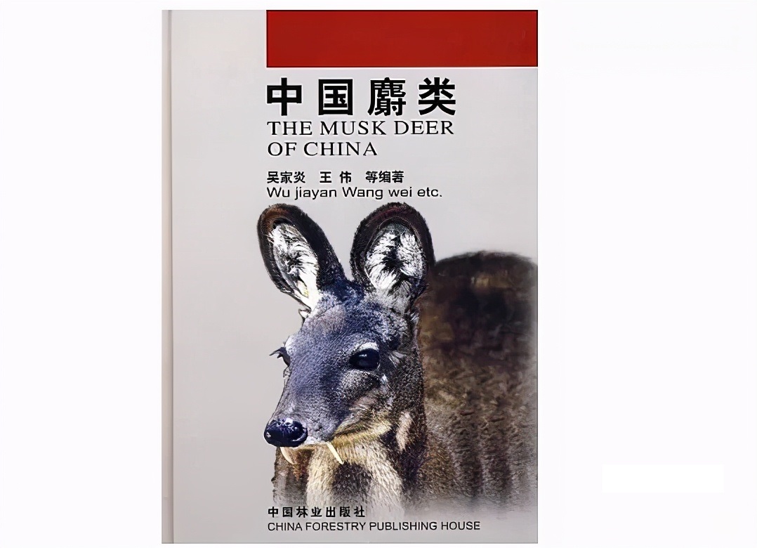 投资一家公司股票需要怎么分析,投资股票的十大要诀