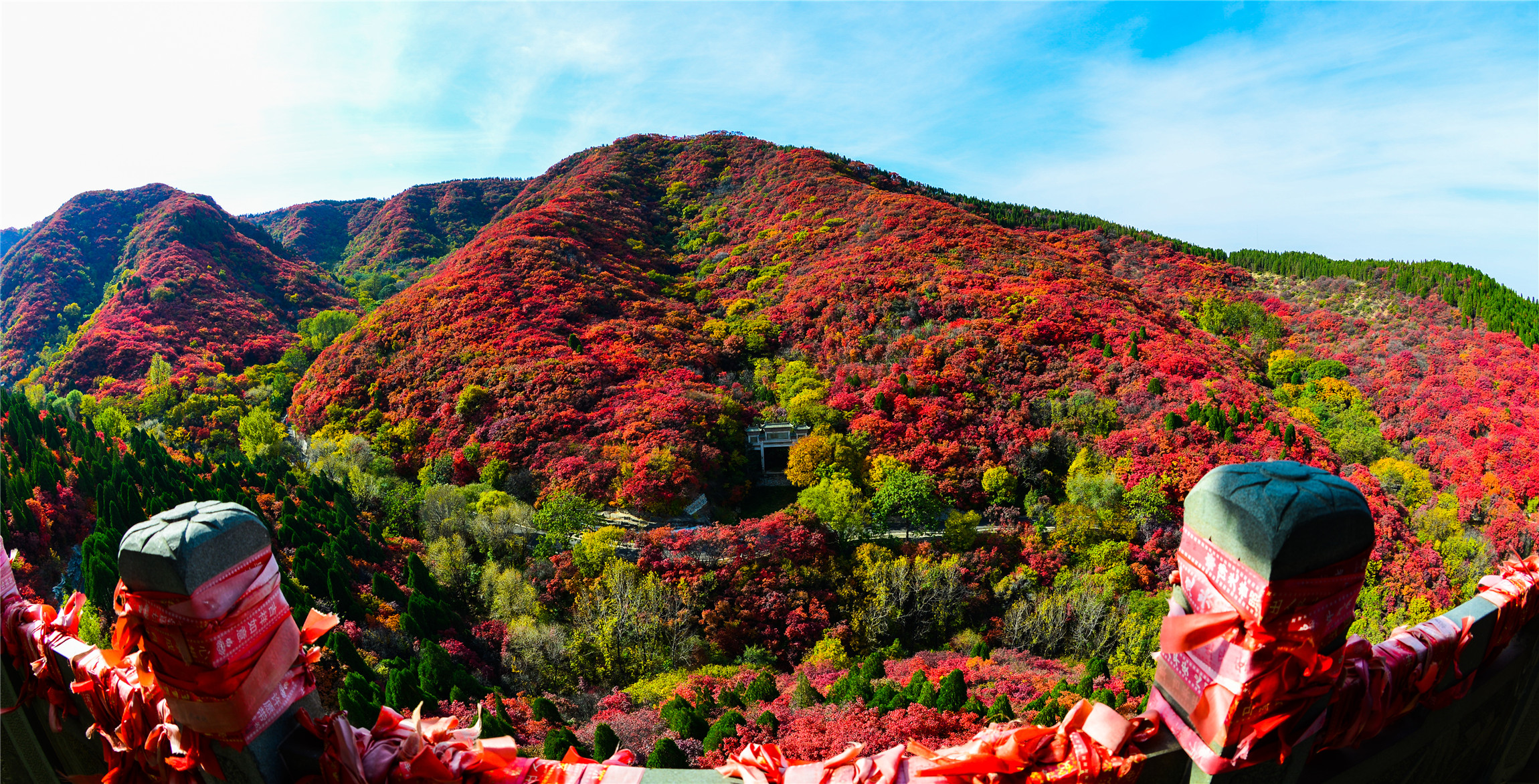 二十届济南红叶谷红叶节开幕,济南红叶谷今年最佳观赏红叶时间