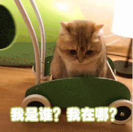 宝宝吃完了还哭是不是没吃饱,宝宝吃了睡没多久醒了又要吃