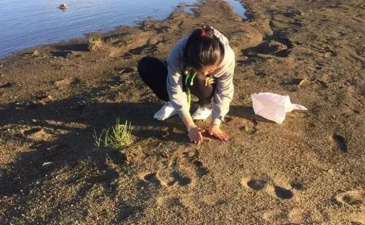 多肉被风雨袭击,多肉被雨水泡过怎么办