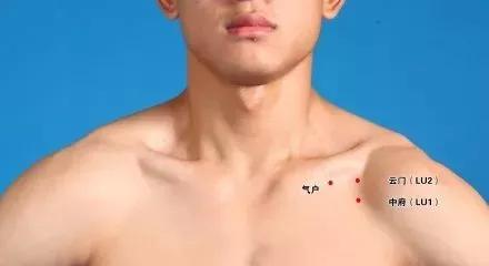 神奇的人体三角区，养好了，百病难扰