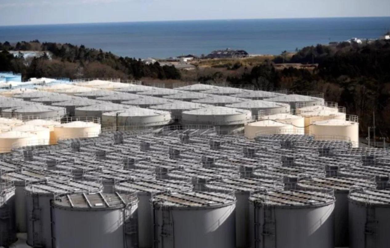 日本基因突变双头龟,双头龟是基因突变吗