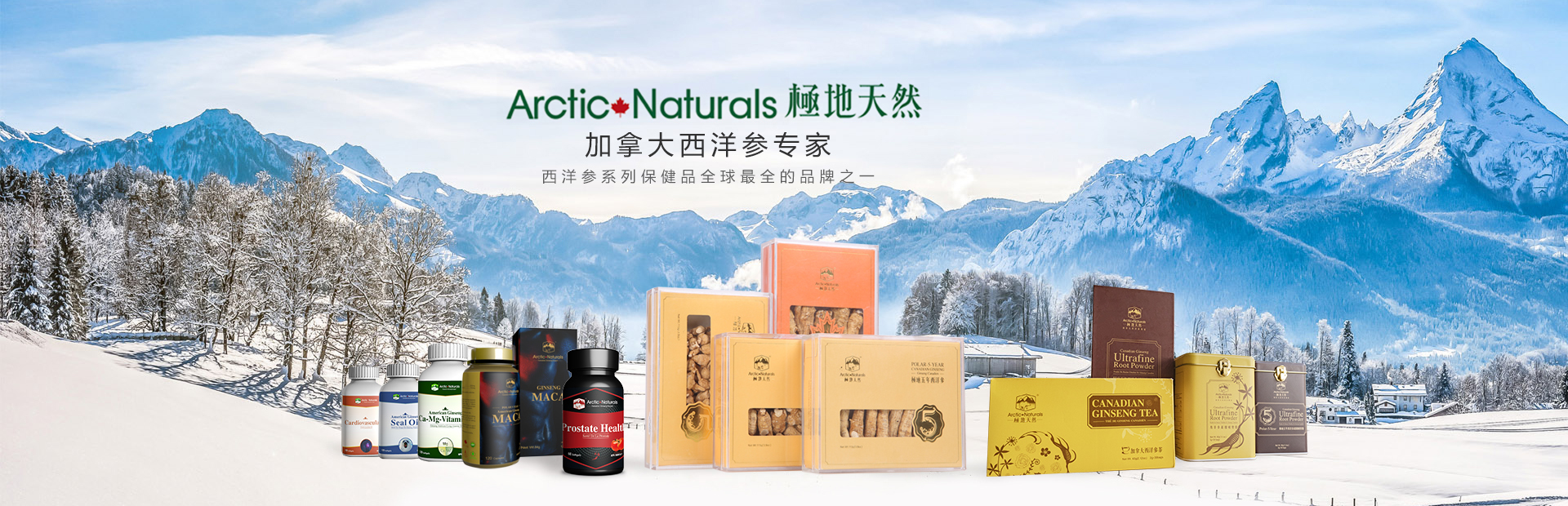 极地天然西洋参价格,极地天然西洋参