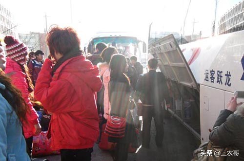 在农村赚钱门路很多,农村20万的生意