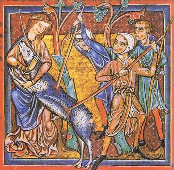 传说中的独角兽是否存在过 (独角兽真实存在的证据)