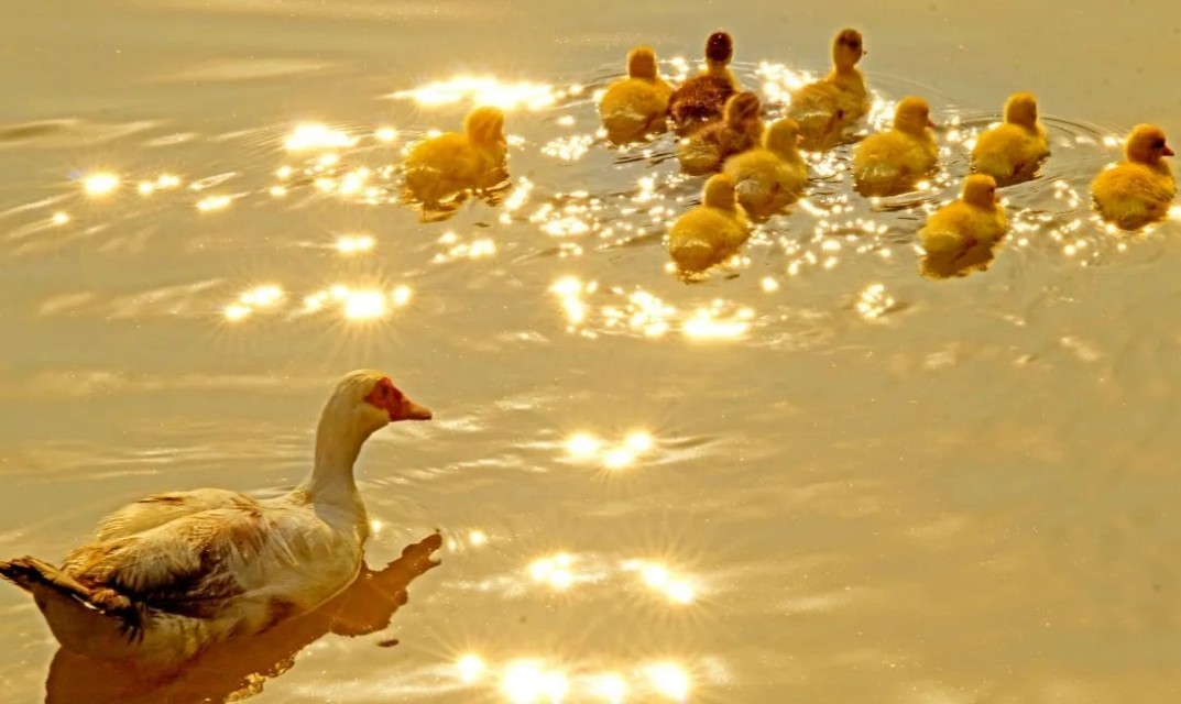 向往的大外|带你一起看大外