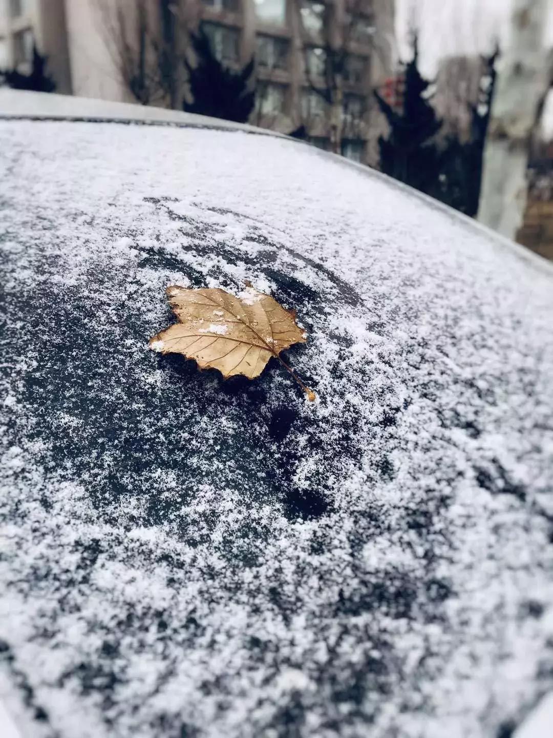 这几天哪个地方有雪天气预报,天气下雪啦