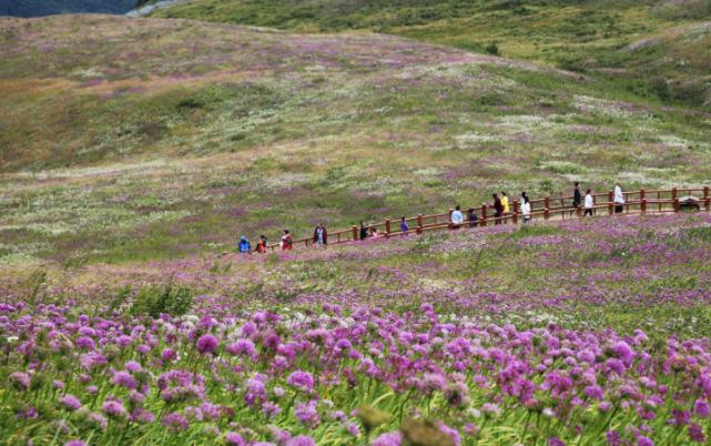 7-8月贵州旅游优惠,贵州各地18年旅游优惠
