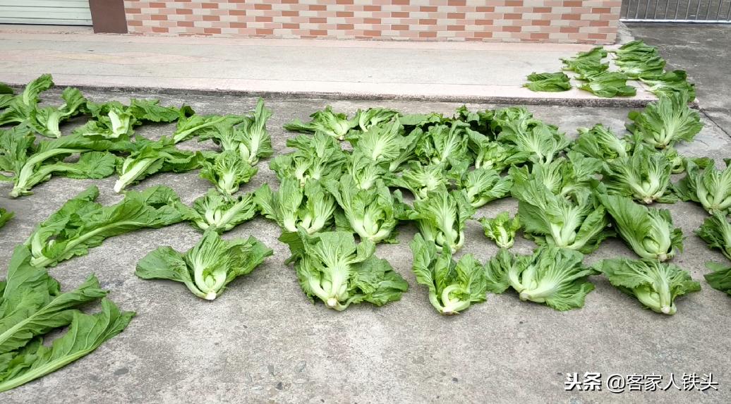 干菜农家自制干货,纯手工制作农家菜干