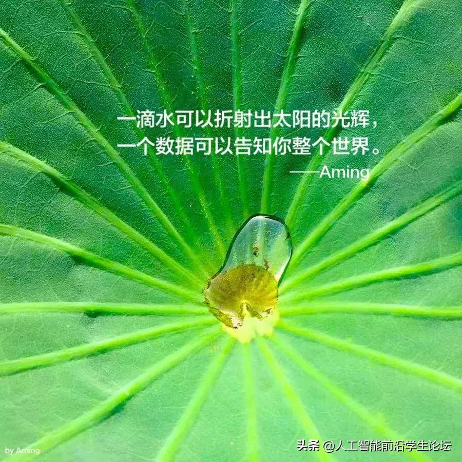 存储技术发展史,存储发展史