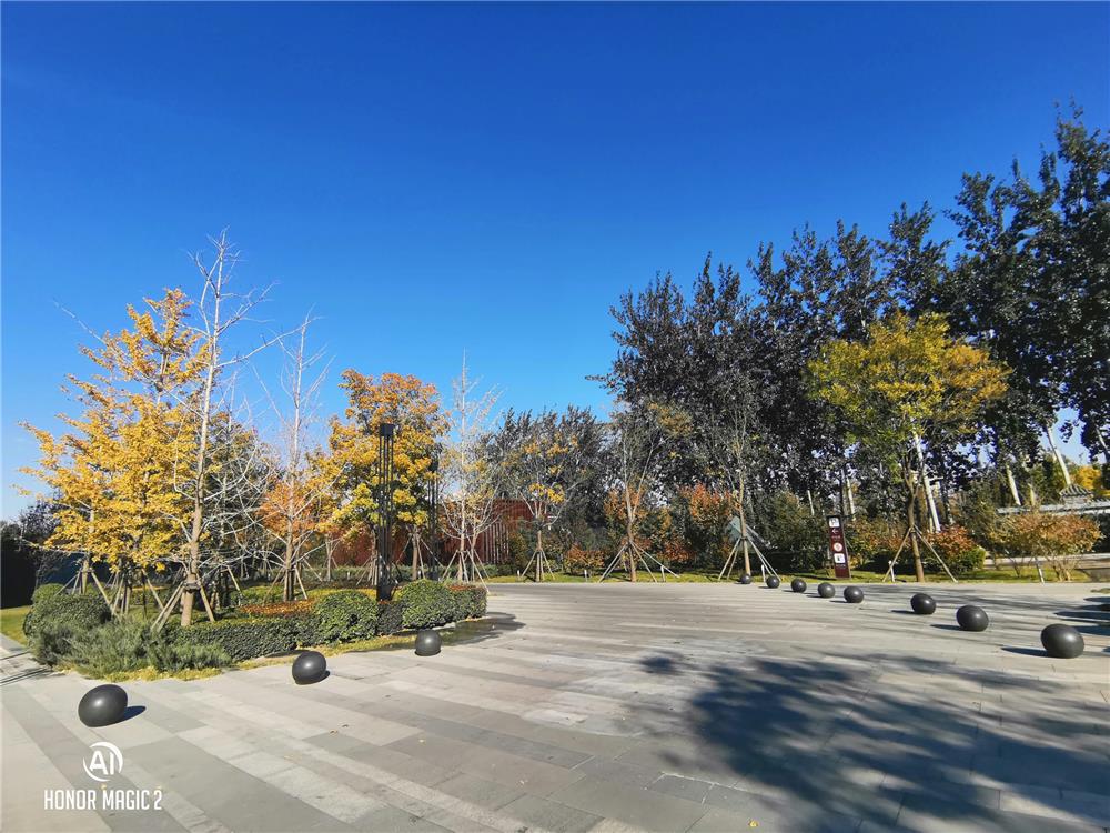 荣耀magic2最强手机,荣耀magic2是全系标配3d结构光吗