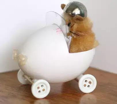 鸡蛋壳手工作品创意幼儿园,碎鸡蛋壳手工粘贴画动物图案