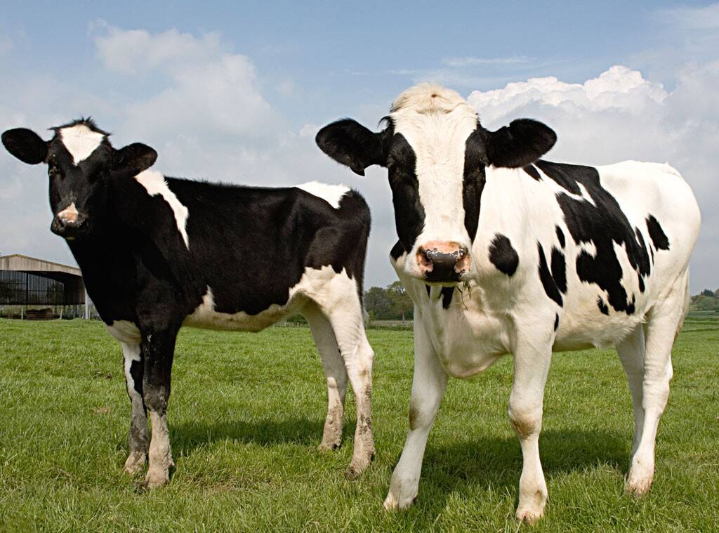 足球经纪人是怎么赚钱的,足球经纪人是什么工作怎么找