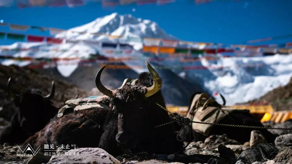 希夏邦马环线徒步8日行程,户外徒步希夏邦马峰大环线视频