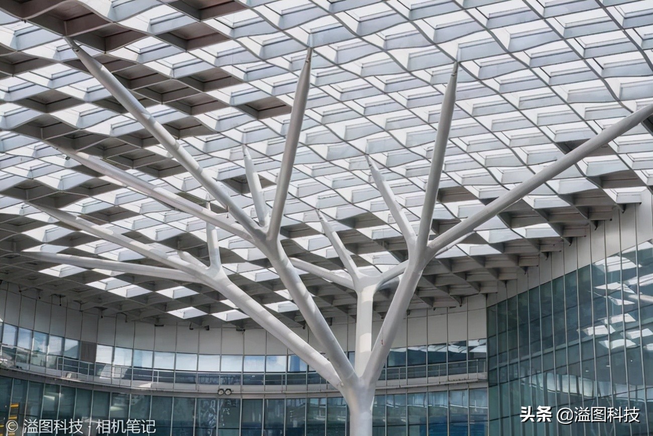 适马18-502.8评测,适马18-502.8镜头评测