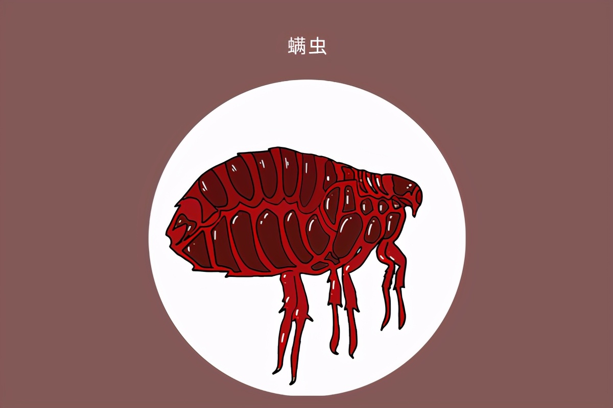 洗完头抓头皮上有白泥怎么解决,如何清洗头皮上覆盖的白泥要抠吗