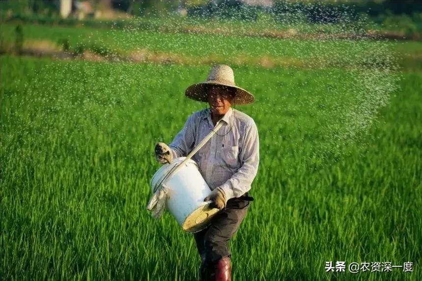 收藏此文你就是肥料专家