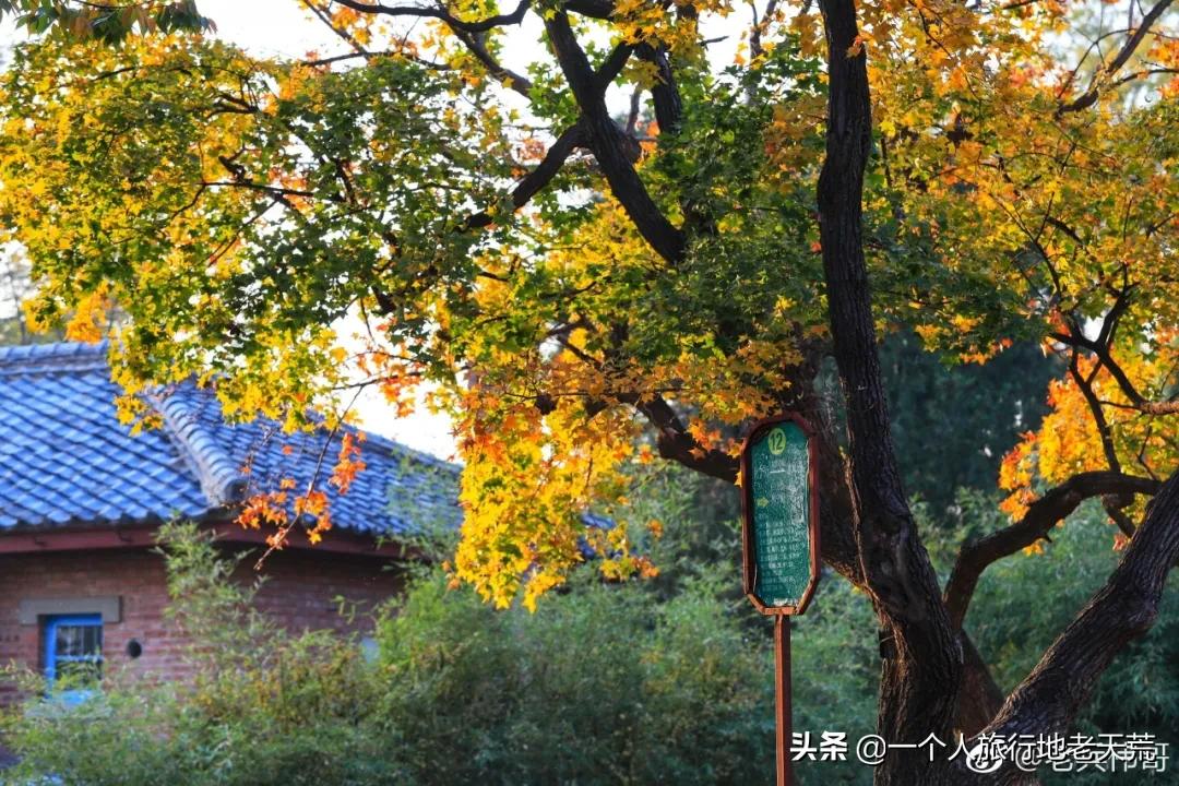 大连最浪漫的十个地方,大连浪漫景色