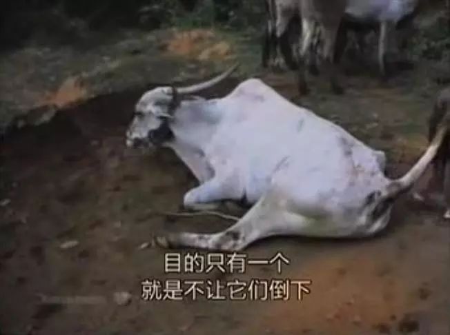 豆瓣9.1这部剧全程高能,豆瓣9.2分最好看的悬疑剧