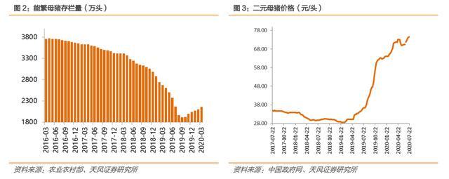 中粮肉食价值分析:性价比最高的猪肉股是他吗