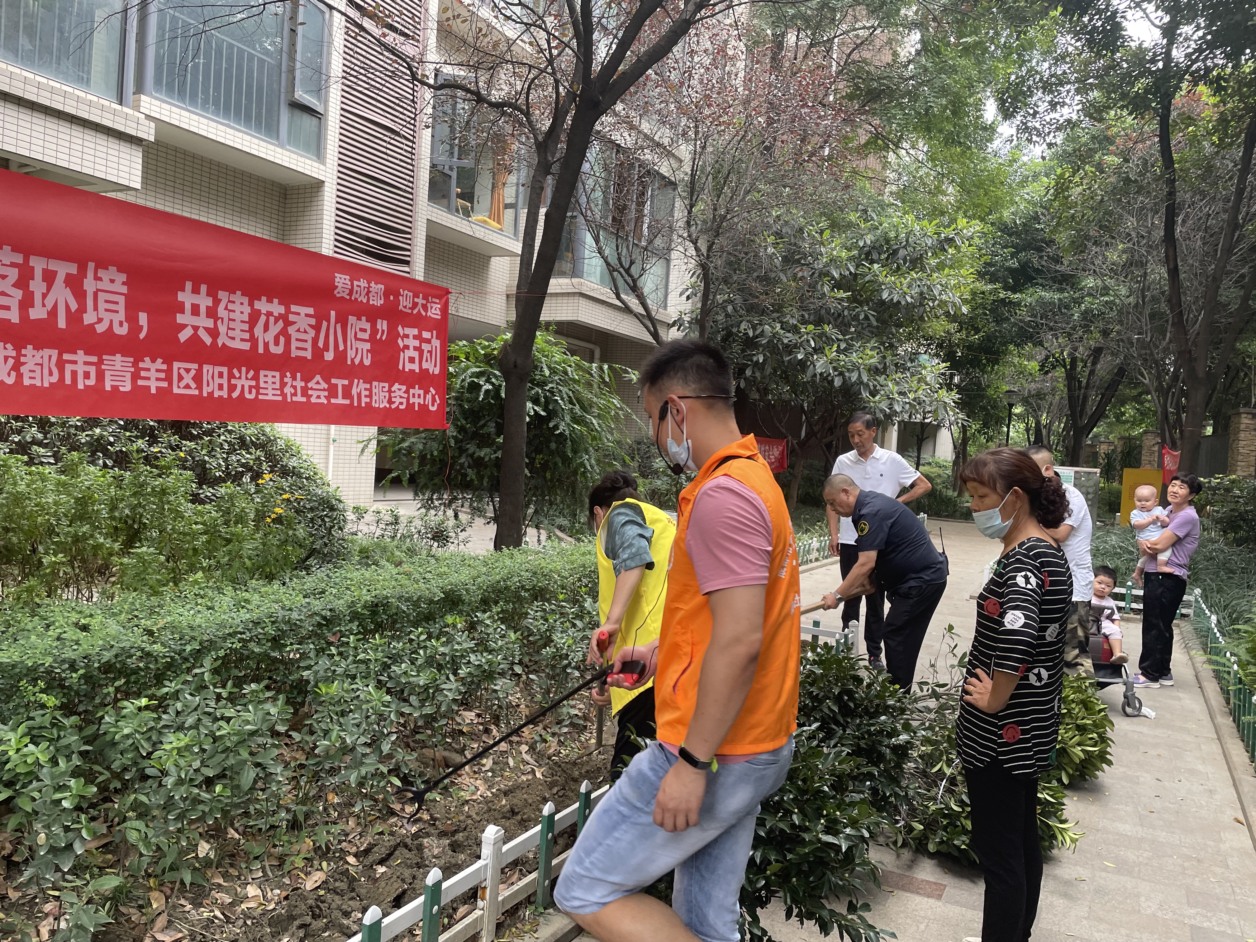 美化农家小院,美化小院