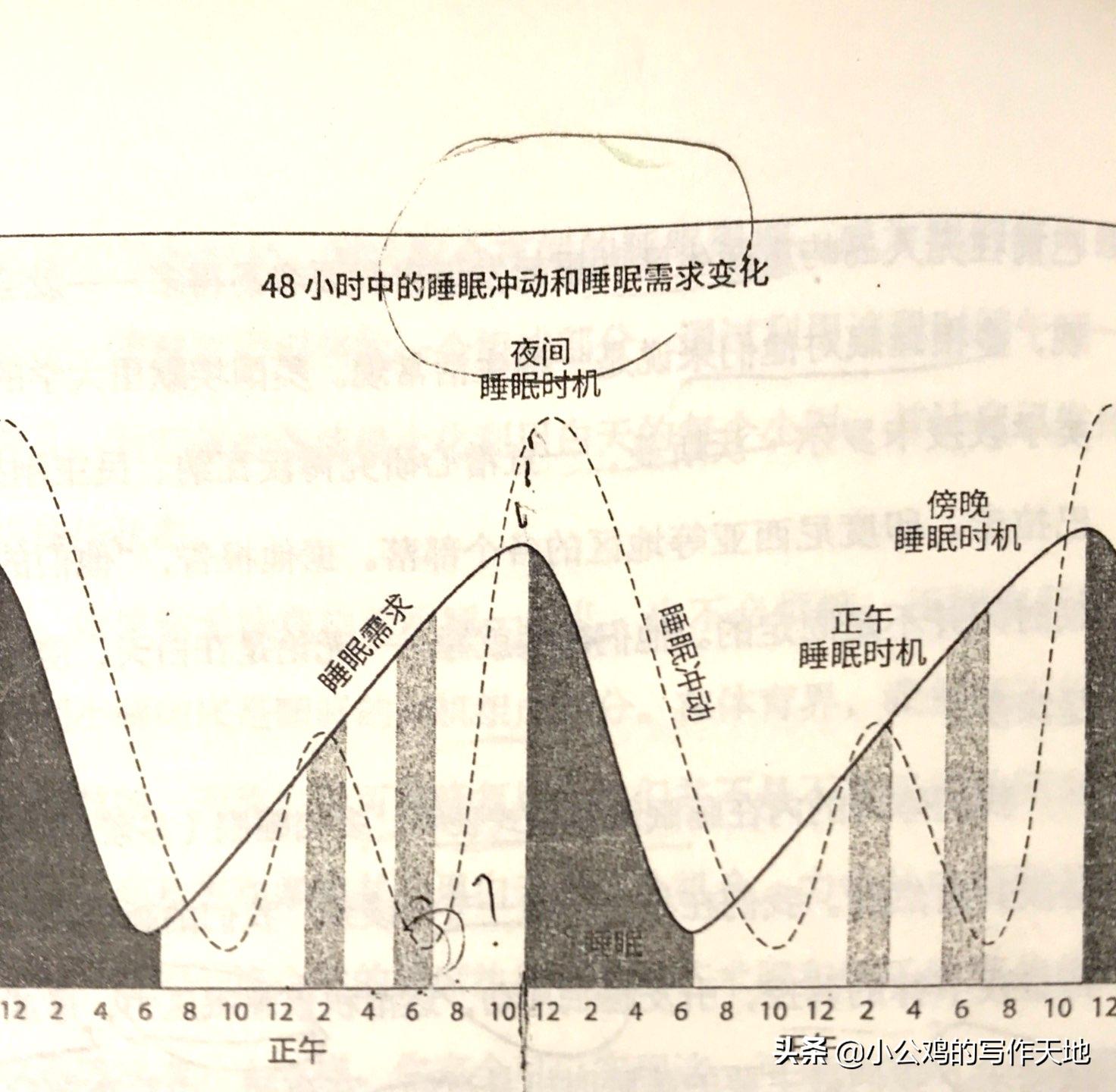 睡眠必须知道的知识,关于睡眠的知识记录下来