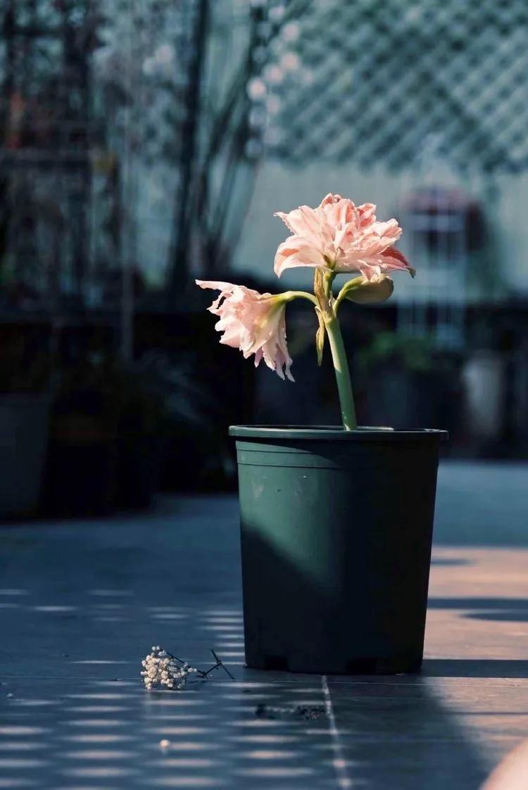 三年前买了套绿地110平三房130万,三年前耗资百万打造小院出售