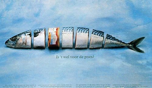 报纸广告优缺点,报纸营销经典案例