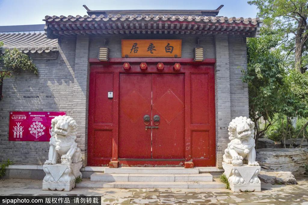 紫色花海免费版,紫色花海免费