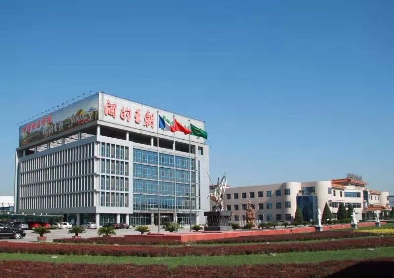 王朝生肖纪念酒,王朝龙年生肖酒