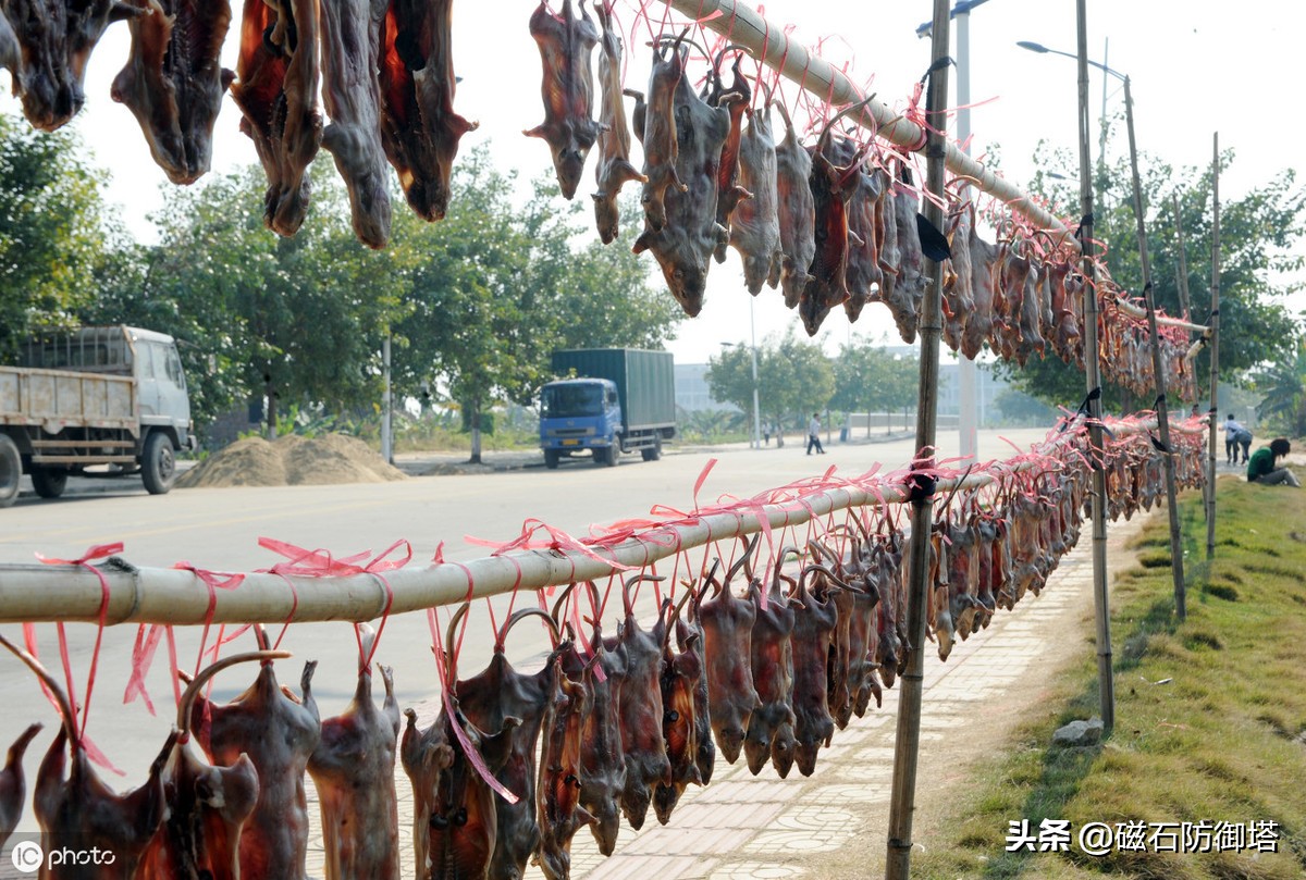 蜀道难讲解视频,蜀道难视频