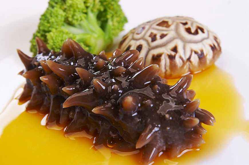 参老舅大连野生海参 (大连老曹野生海参)