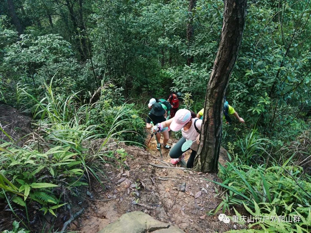 登山杖上山和下山的使用方法,鲁滨逊登山杖的正确使用方法