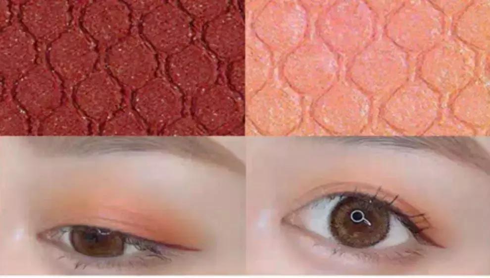 预算50元可以买什么好玩的,50元以下适合学生党买的蜥蜴