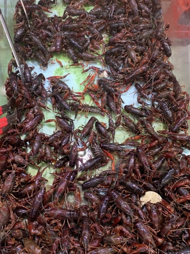 去北海在哪里买海鲜比较划算,北海的海鲜便宜还是防城港的便宜