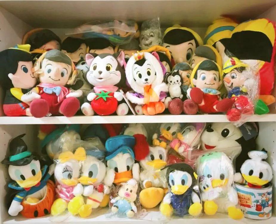 上海一日游迪士尼攻略 (上海迪士尼一日游攻略超全)