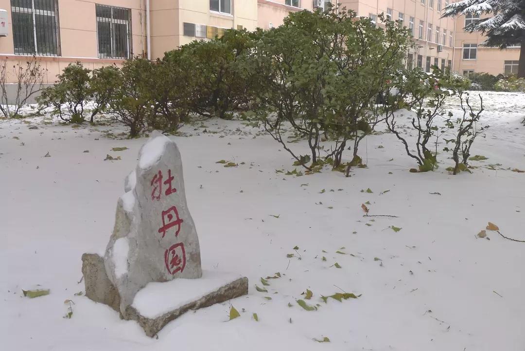 辽宁省普通高等院校大连大学,辽宁省交通高等专科学校15届