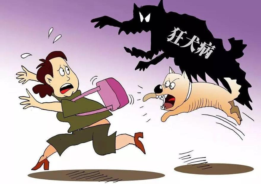 得狂犬病狗狗的症状,狂犬病死后的狗狗症状