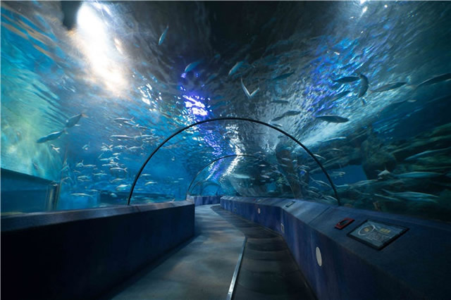 南京情侣游玩地方排行榜,南京适合情侣旅游的地方