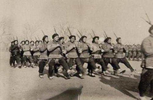 洋枪队是谁统领的,洋枪队近代化