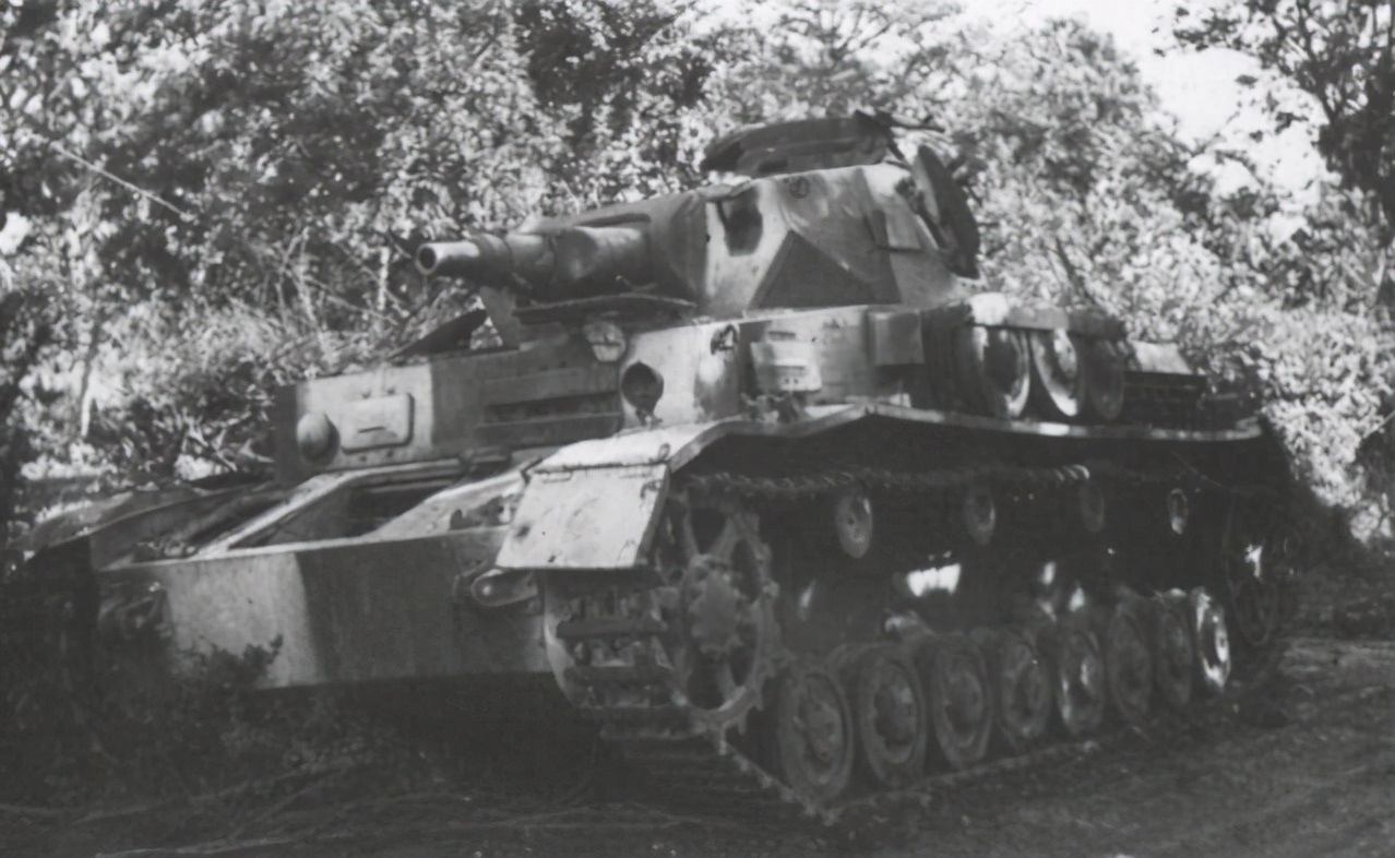 海岸线巨兽,德国的海上巨兽